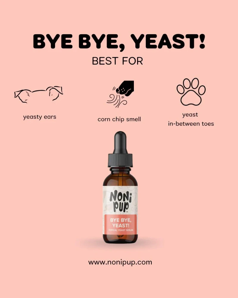 NONIPUP Bye-Bye, Yeast! Topical Yeast Serum For Dogs - Image 2