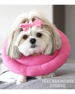 ICECREAMTREE STUDIO Hypoallergenic Soft Comfy Pet Cone (Made In The USA)