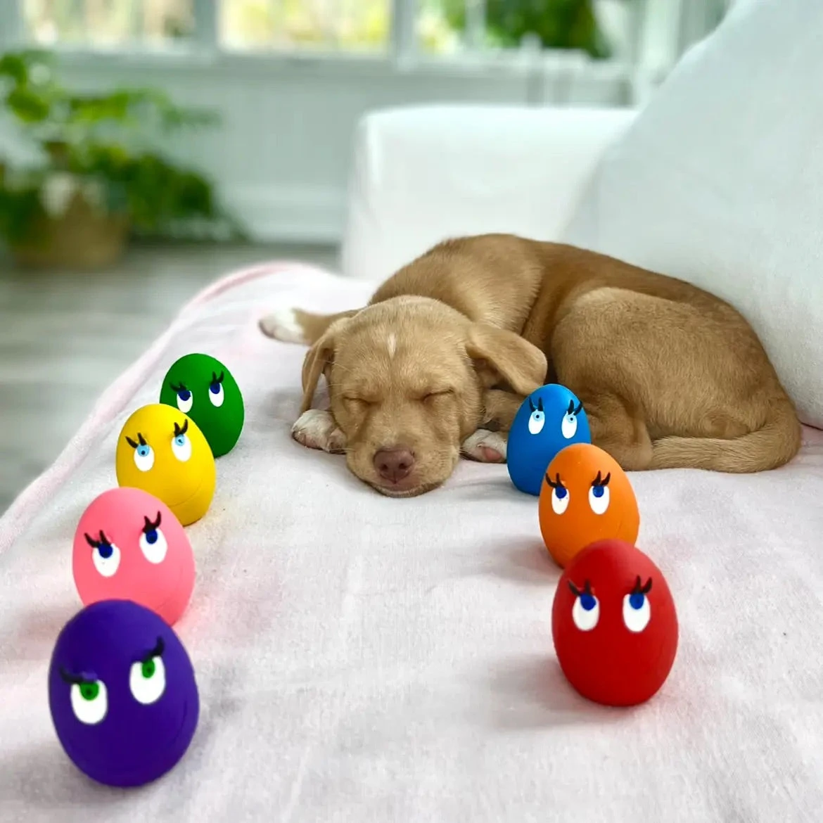 LANCO TOYS Squeaky Egg Dog Toy - Image 4