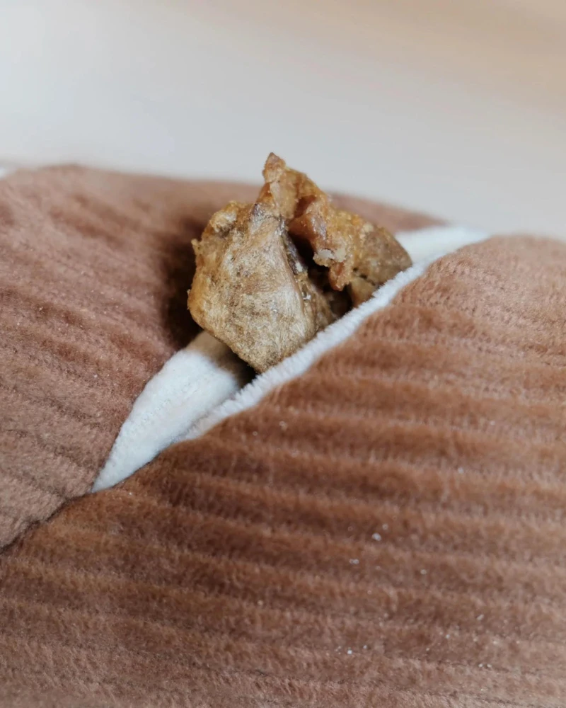 LAMBWOLF COLLECTIVE Baguette Nosework Squeaky Dog Toy - Image 7