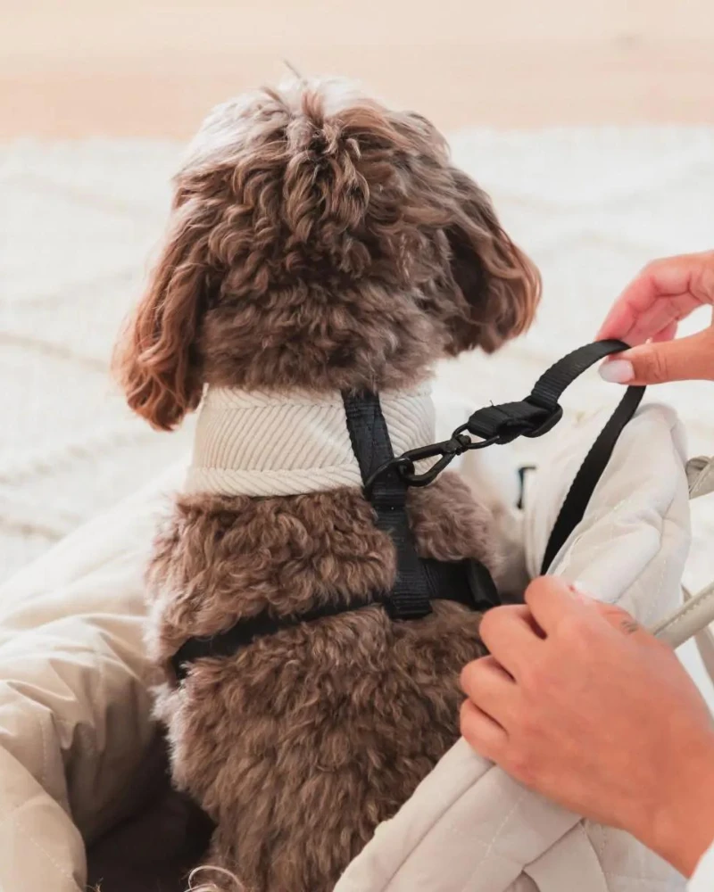 FUZZYARD Multipurpose Carrier & Car Seat - Image 6