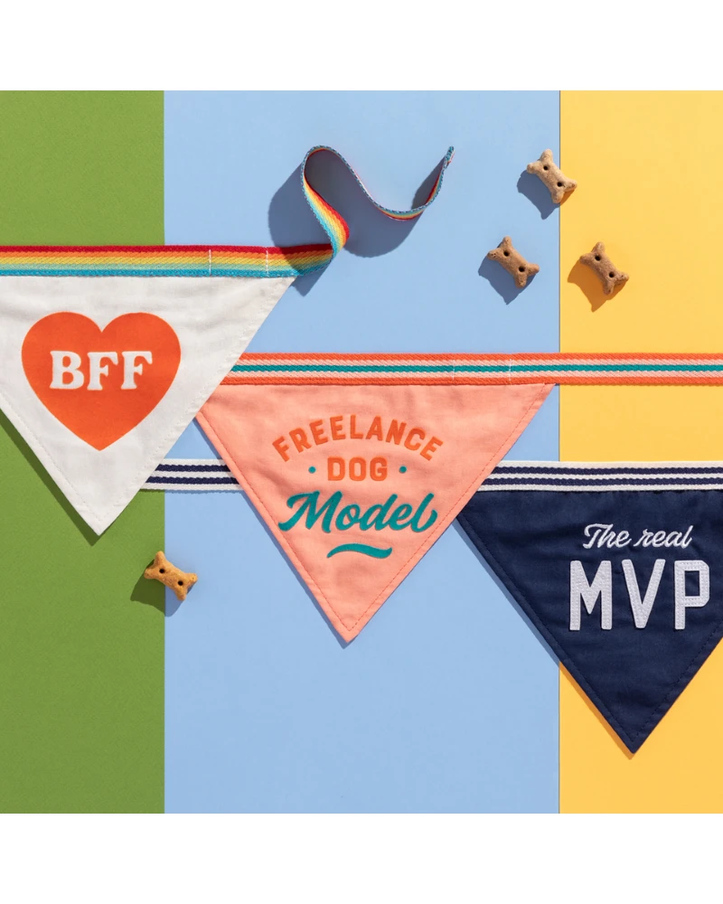 BRASS MONKEY BFF Dog Bandana - Image 5