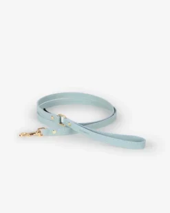 BRANNI Sky Blue Nara Leather Dog Leash With Brass Hardware (Made In Italy)