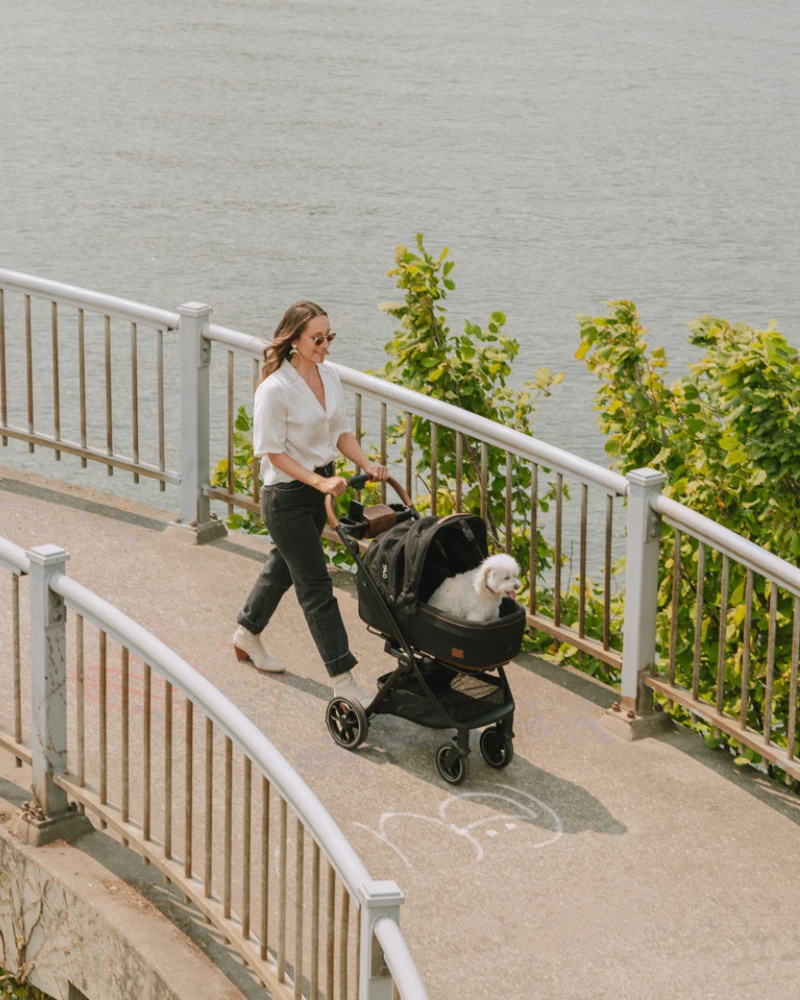 TAVO PET Maeve™ + Roscoe™ 3-in-1 Pet Stroller & Car Seat - Image 2