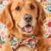 THE FOGGY DOG Rifle Paper Co. X TFD Garden Party Spring Dog Bow Tie (Made In The USA)