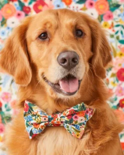 THE FOGGY DOG Rifle Paper Co. X TFD Garden Party Spring Dog Bow Tie (Made In The USA)