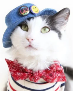 ICECREAMTREE STUDIO Denim Pet Bucket Hat (Made In The USA)