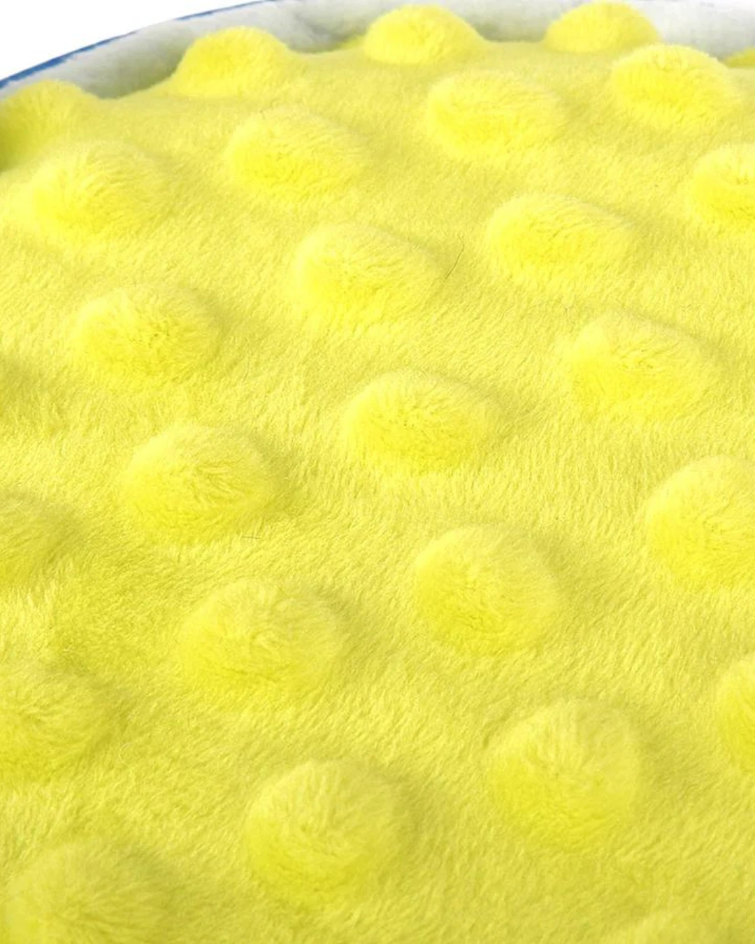 P.L.A.Y. Pup-arita Squeaky Plush Dog Toy - Image 5