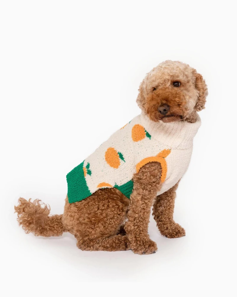 THE FURRYFOLKS Orange Dog Sweater - Image 6