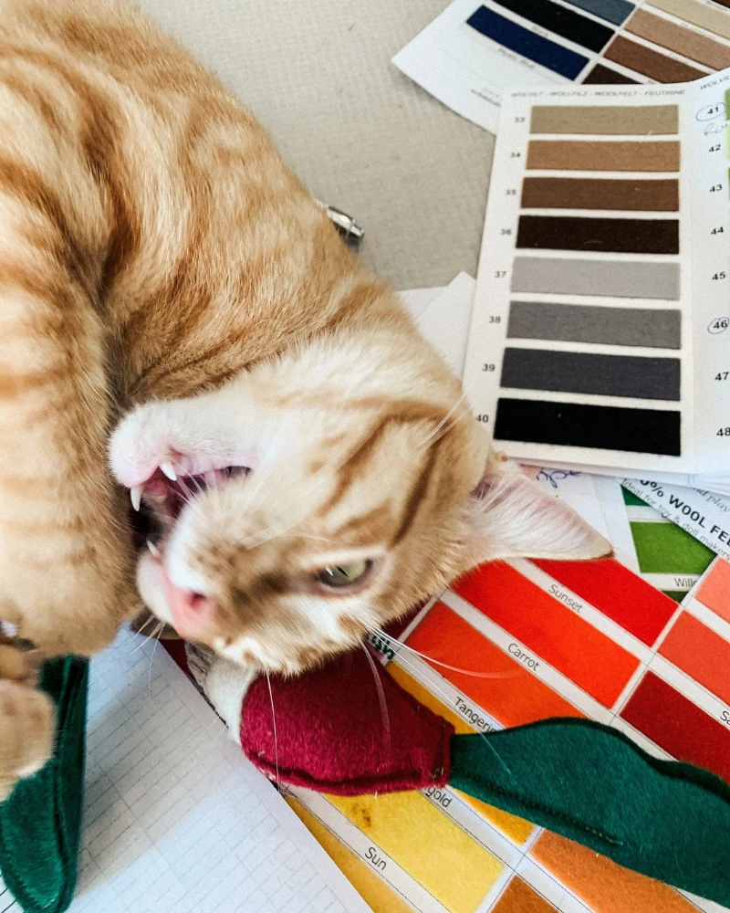 CIAO GATTO Woolen Crunchy Radish Catnip Toy - Image 8