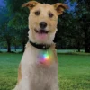 NITE IZE Rechargeable Dog Collar Light In Disc-O-Tech