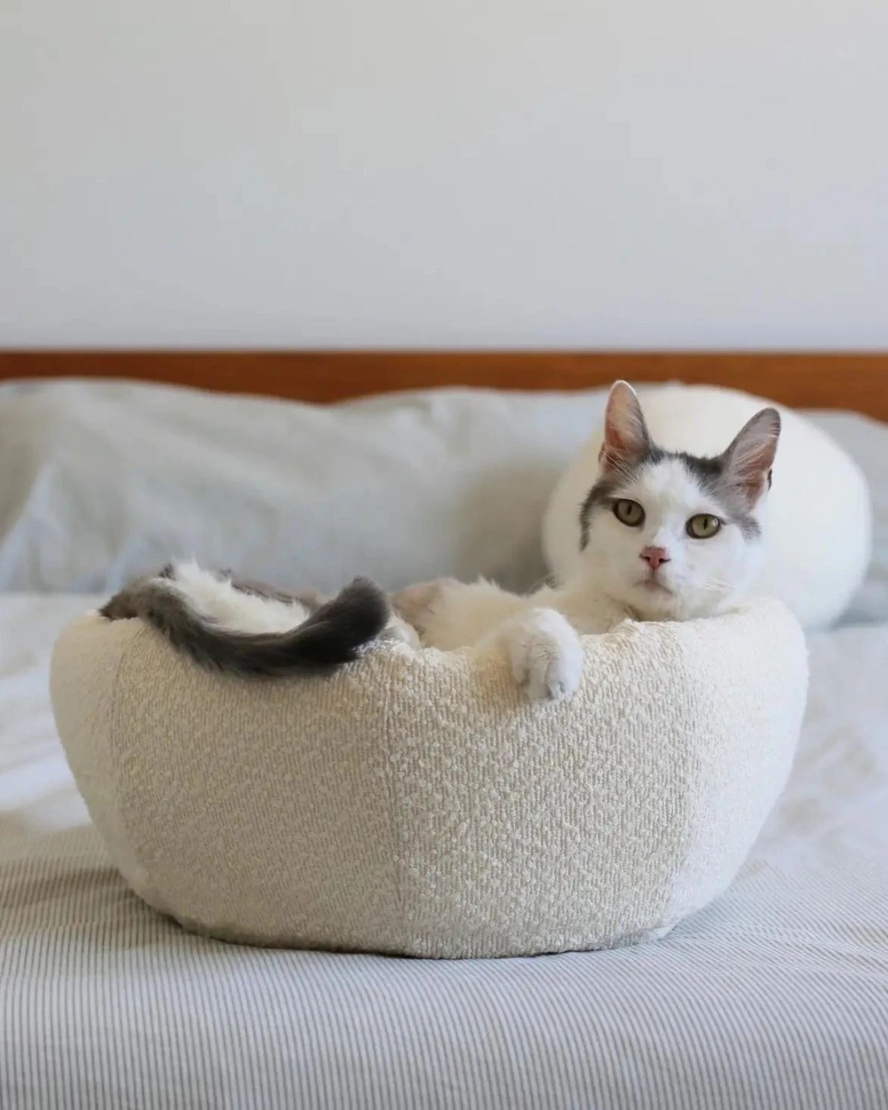 CATENARY HOME Bouclé Modular Moon Cat Cave Bed - Image 4