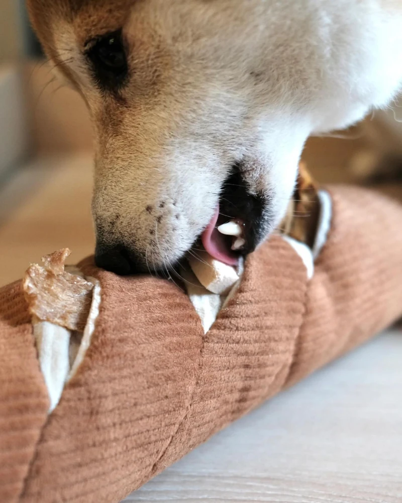 LAMBWOLF COLLECTIVE Baguette Nosework Squeaky Dog Toy - Image 8