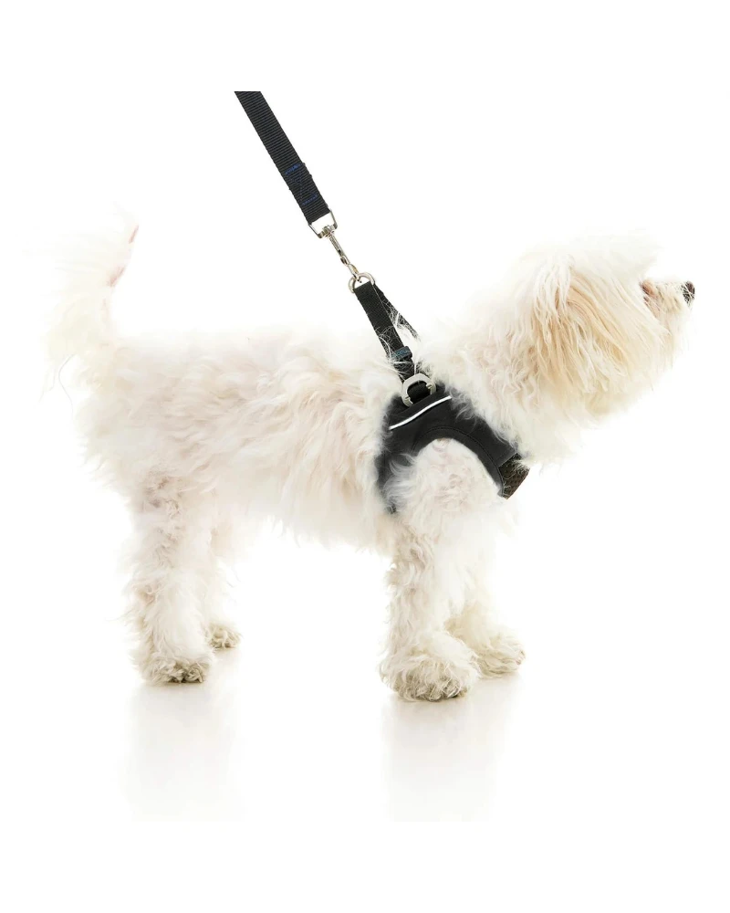 GOOBY Escape-Free Easy Fit Dog Harness - Image 5