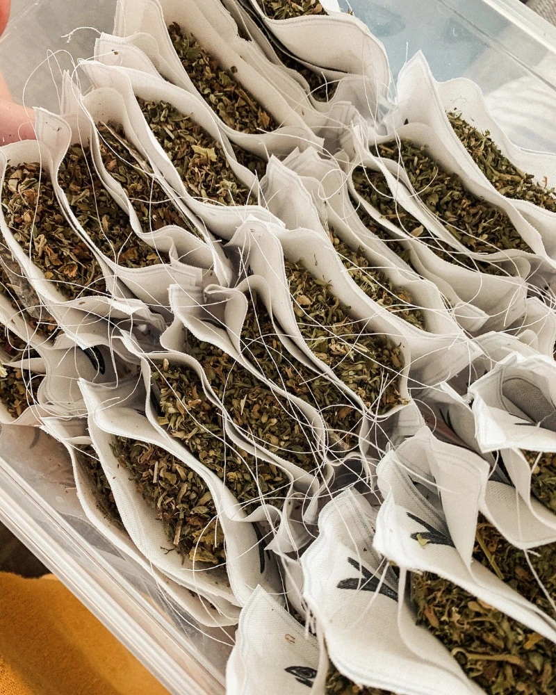 CIAO GATTO Organic Catnip Sardines Toy - Image 2