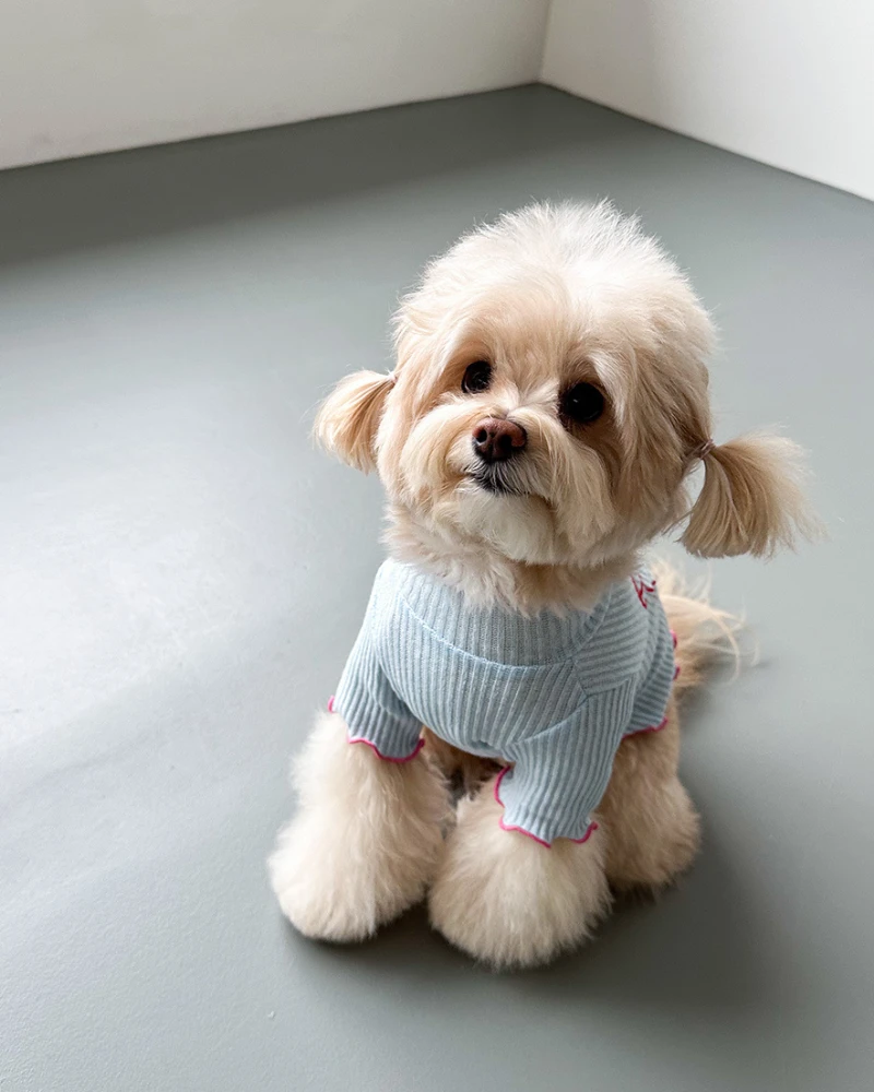 COTE A COTE Coquette Bow Dog T-Shirt - Image 5