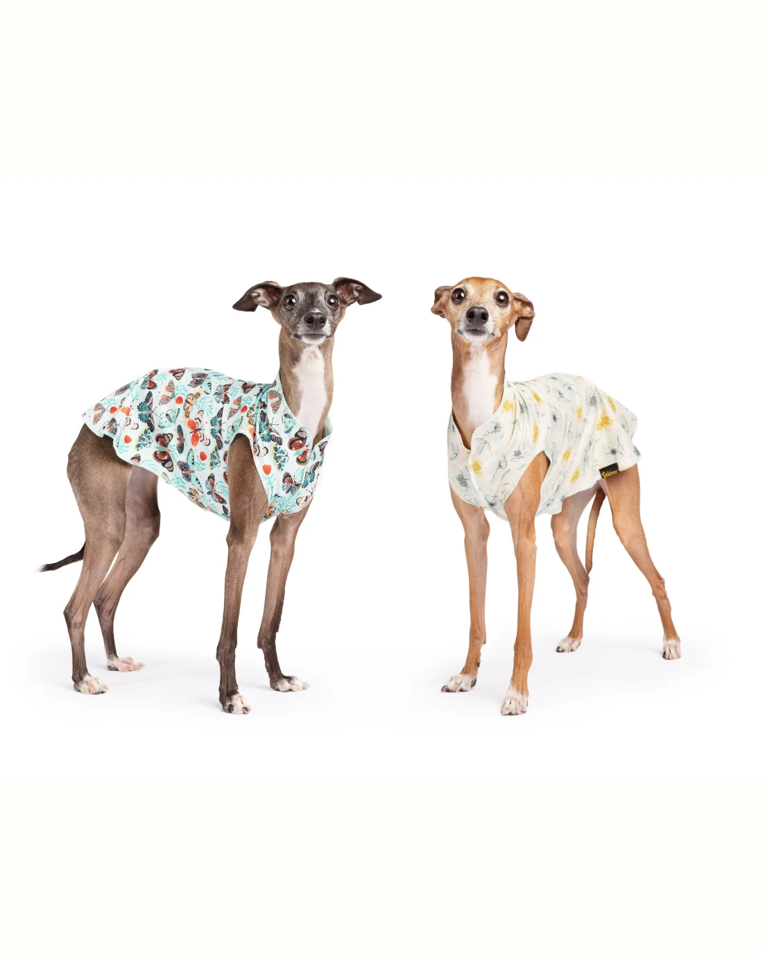 GOLD PAW Sun Shield Tee In Butterfly Print (Made In The USA) - Image 4