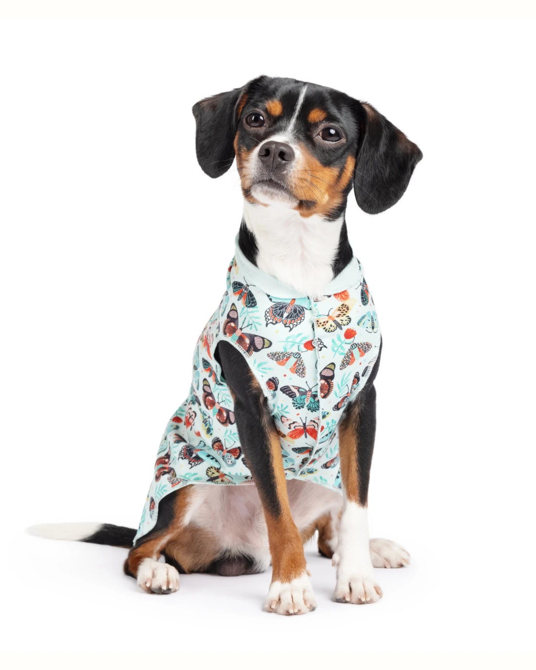 GOLD PAW Sun Shield Tee In Butterfly Print (Made In The USA) - Image 2