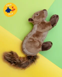 FLUFF & TUFF Peanut The Squirrel Squeaky Dog Plush Toy