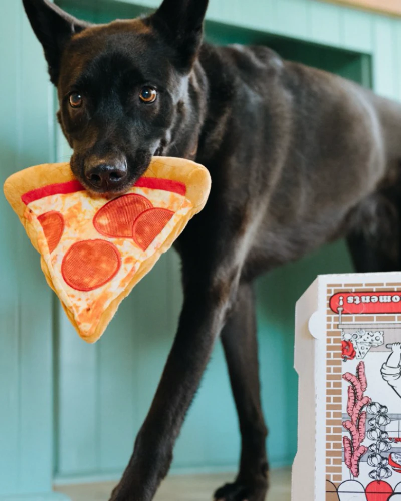P.L.A.Y. Puppy-Roni Pizza Slice Dog Toy - Image 2