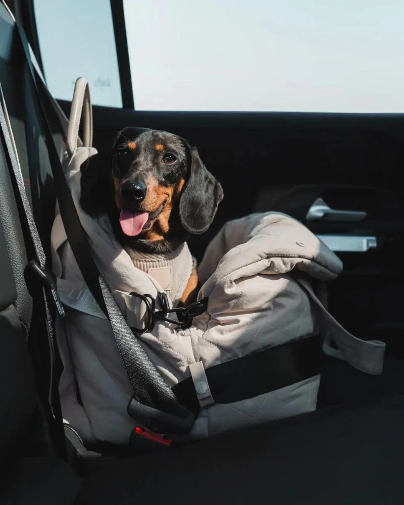 FUZZYARD Multipurpose Carrier & Car Seat - Image 5