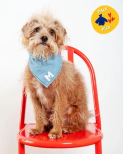 THRIFT DOG Custom Initial Pet Bandana In Light Denim (Drop-Ship)