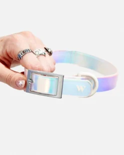WILD ONE Holographic Lunar Dog Collar