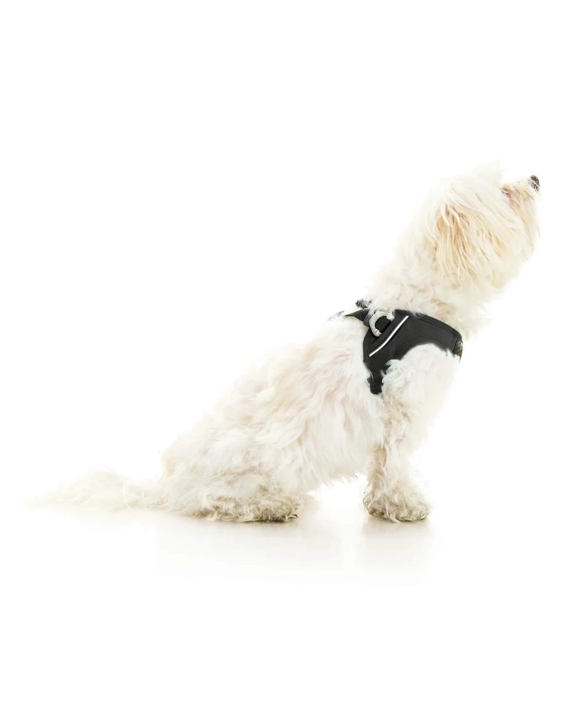 GOOBY Escape-Free Easy Fit Dog Harness - Image 7