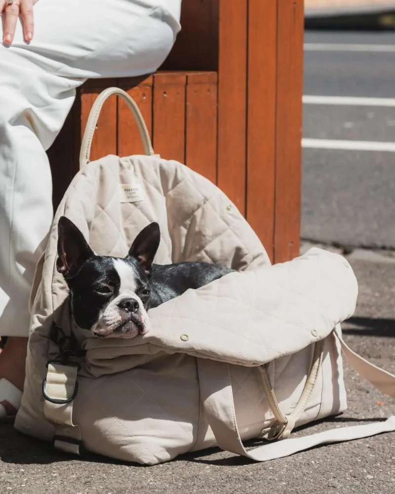 FUZZYARD Multipurpose Carrier & Car Seat - Image 3
