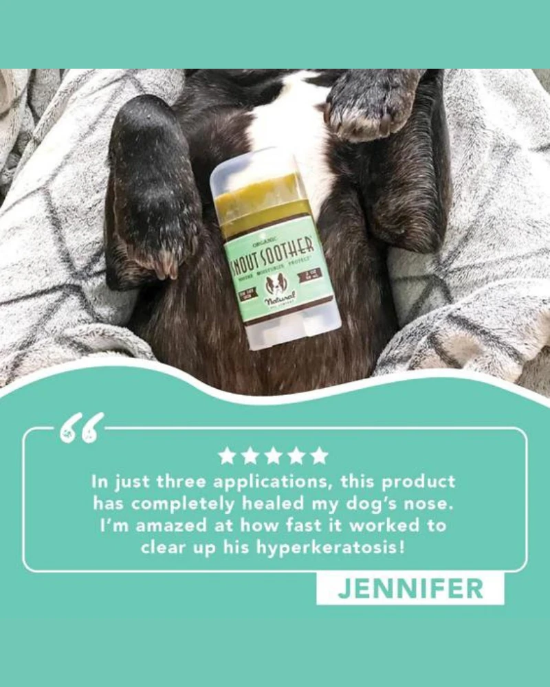 NATURAL DOG COMPANY Snout Soother Travel Stick - Image 5