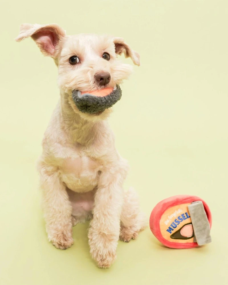 THE FURRY FOLKS Tinned Mussel Nosework Dog - Image 6