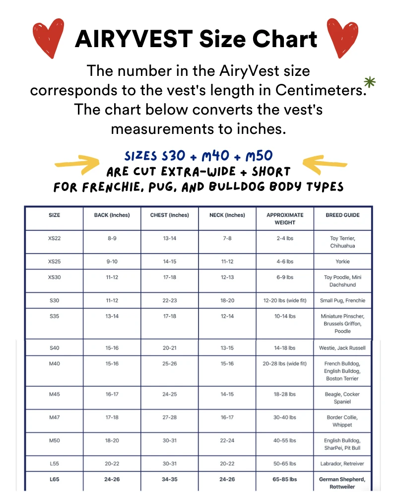 AIRYVEST For DOG & CO. Reversible AiryVest In Hunter Plaid + Neon Yellow (DOG & CO. Exclusive) - Image 7