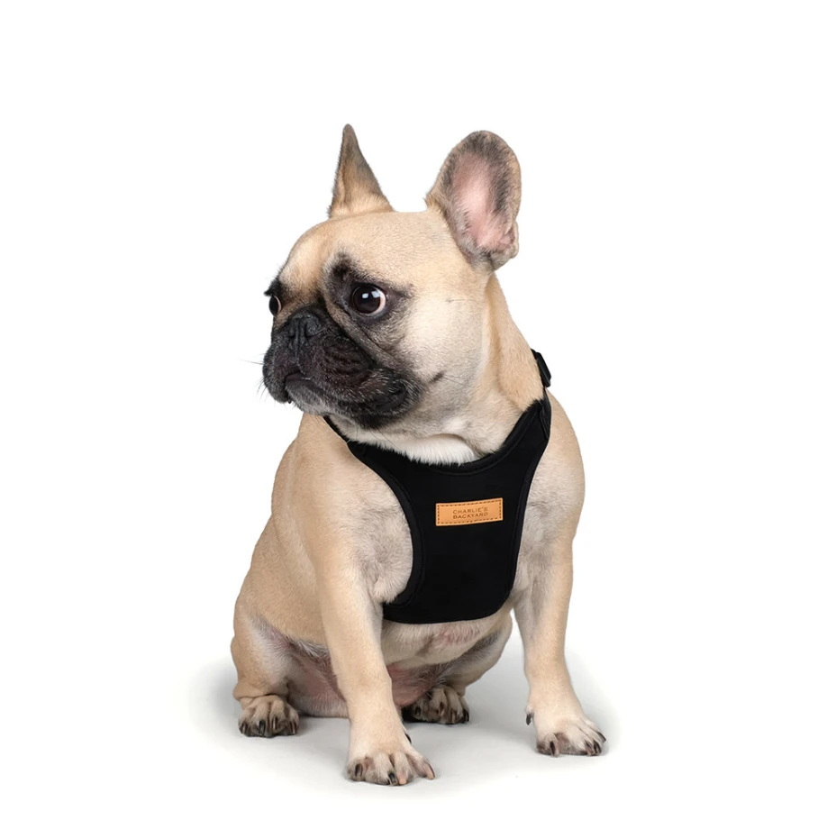 CHARLIE'S BACKYARD Comfort Dog Harness In Black - Image 3