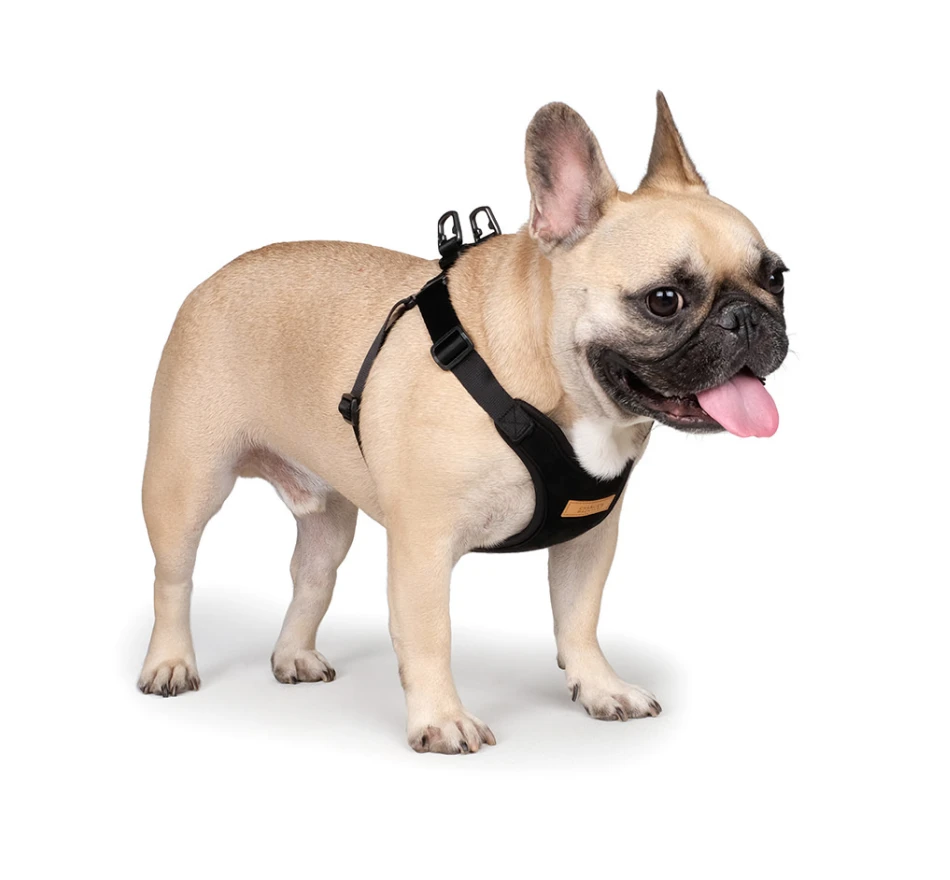 CHARLIE'S BACKYARD Comfort Dog Harness In Black - Image 4