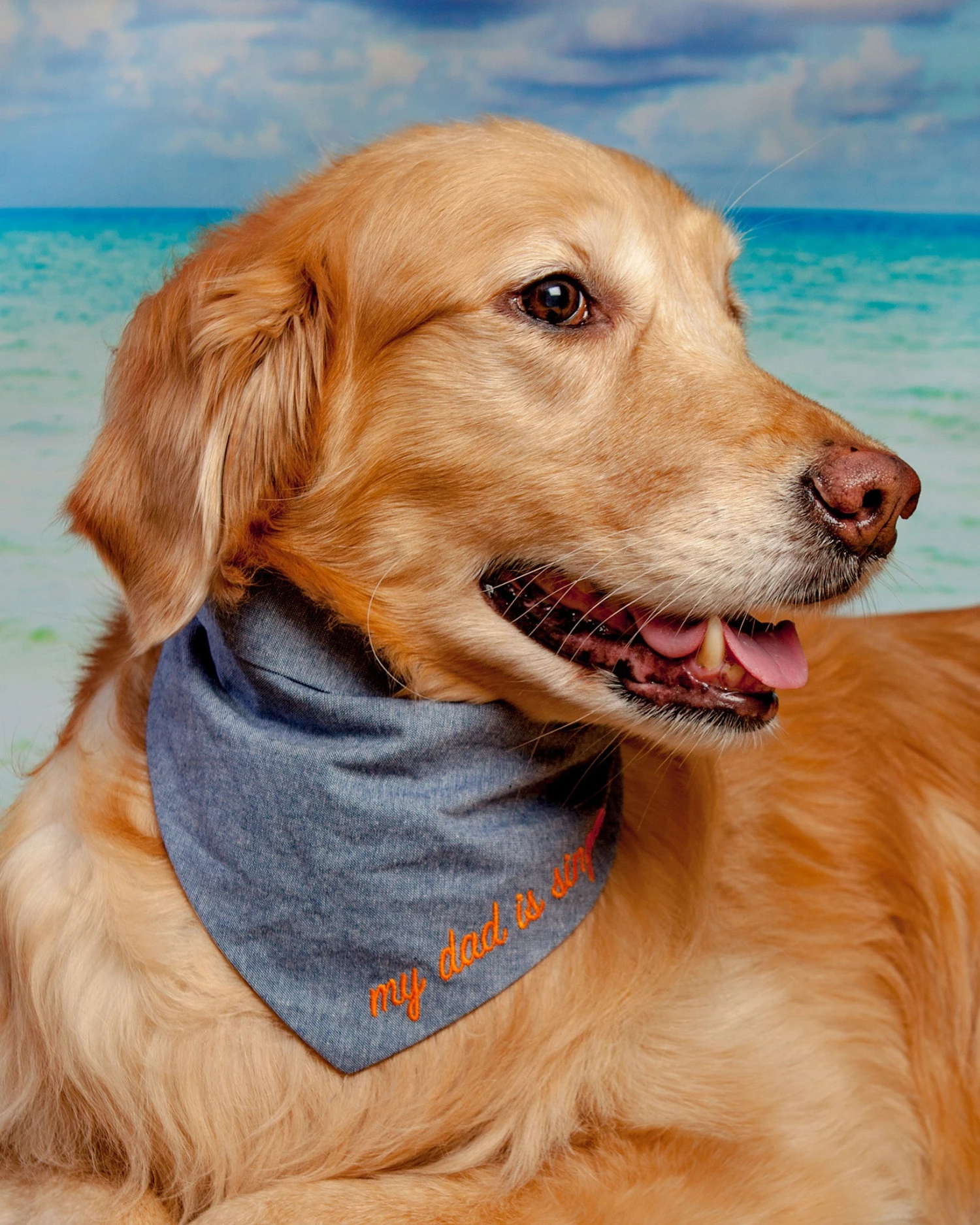 MODERN BEAST My Dad Is Single Chambray Bandana (Made In The USA) - Image 5