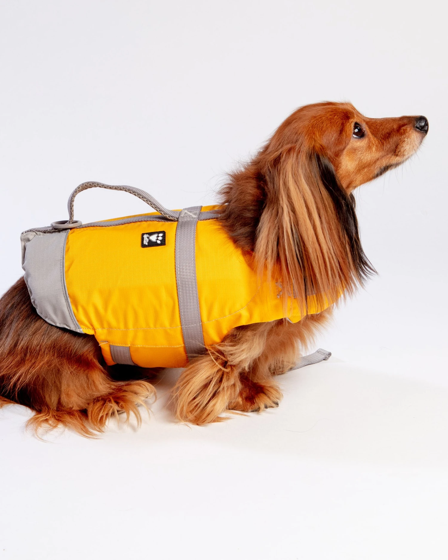 HURTTA Life Savior Dog Life Jacket In Golden Yellow (FINAL SALE) - Image 5