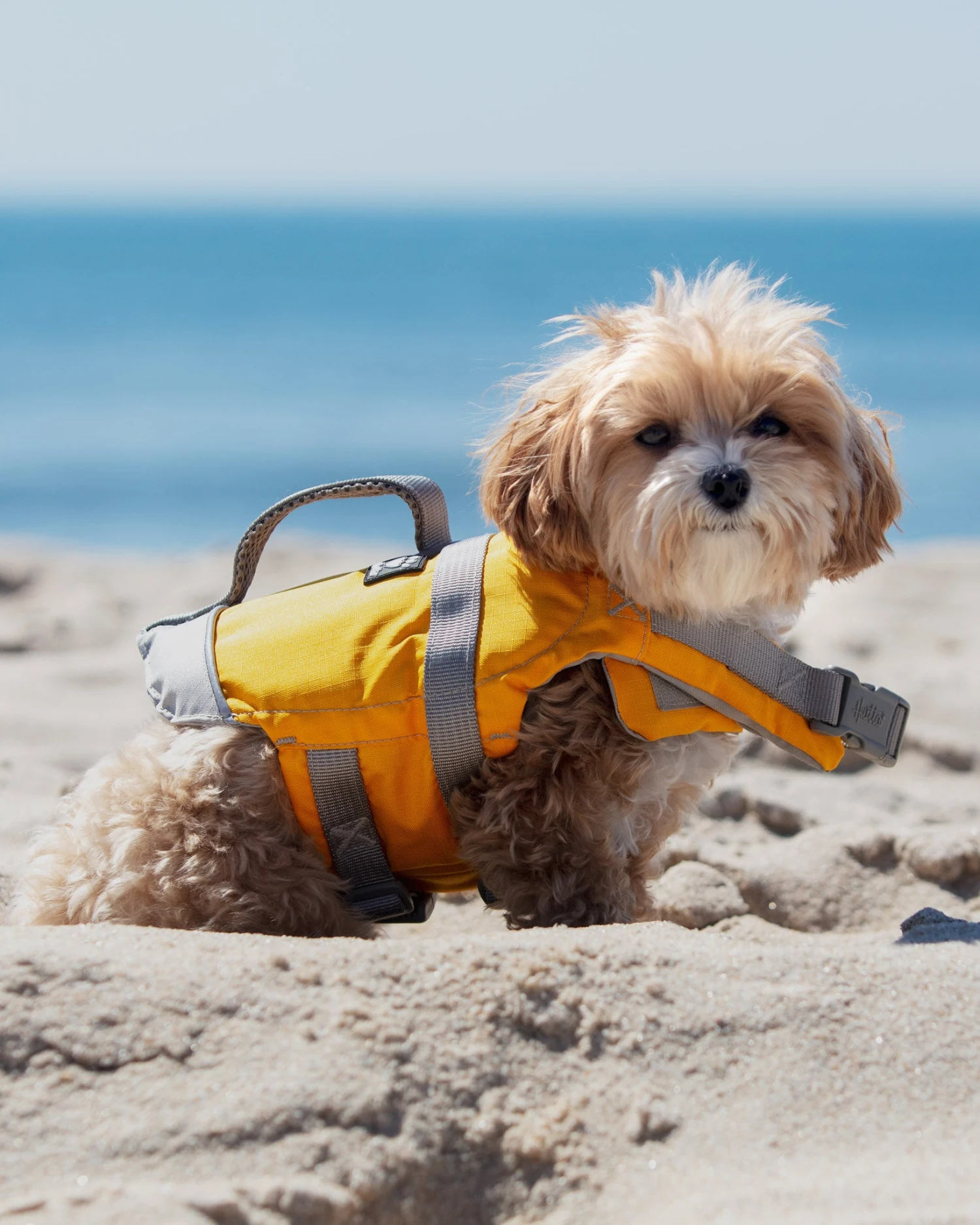 HURTTA Life Savior Dog Life Jacket In Golden Yellow (FINAL SALE) - Image 2
