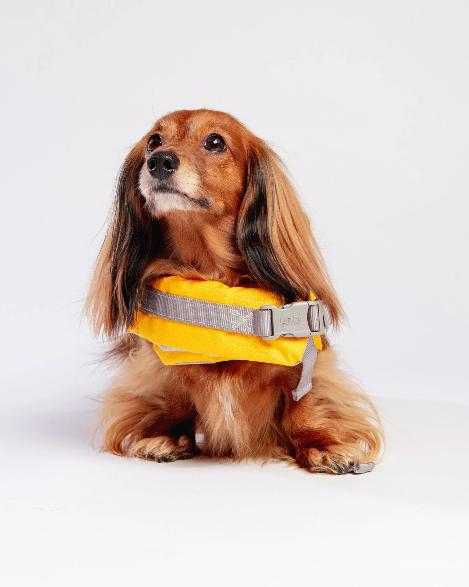 HURTTA Life Savior Dog Life Jacket In Golden Yellow (FINAL SALE) - Image 4