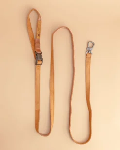 CHARLIE'S BACKYARD Adjustable Easy Dog Leash In Tan