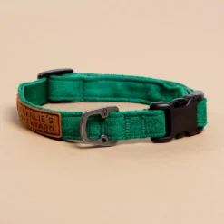 CHARLIE'S BACKYARD Easy Dog Collar In Green