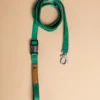 CHARLIE'S BACKYARD Adjustable Easy Dog Leash In Green