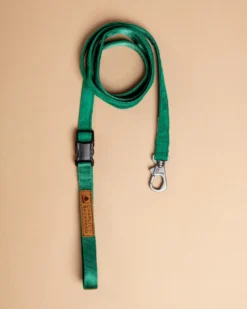 CHARLIE'S BACKYARD Adjustable Easy Dog Leash In Green