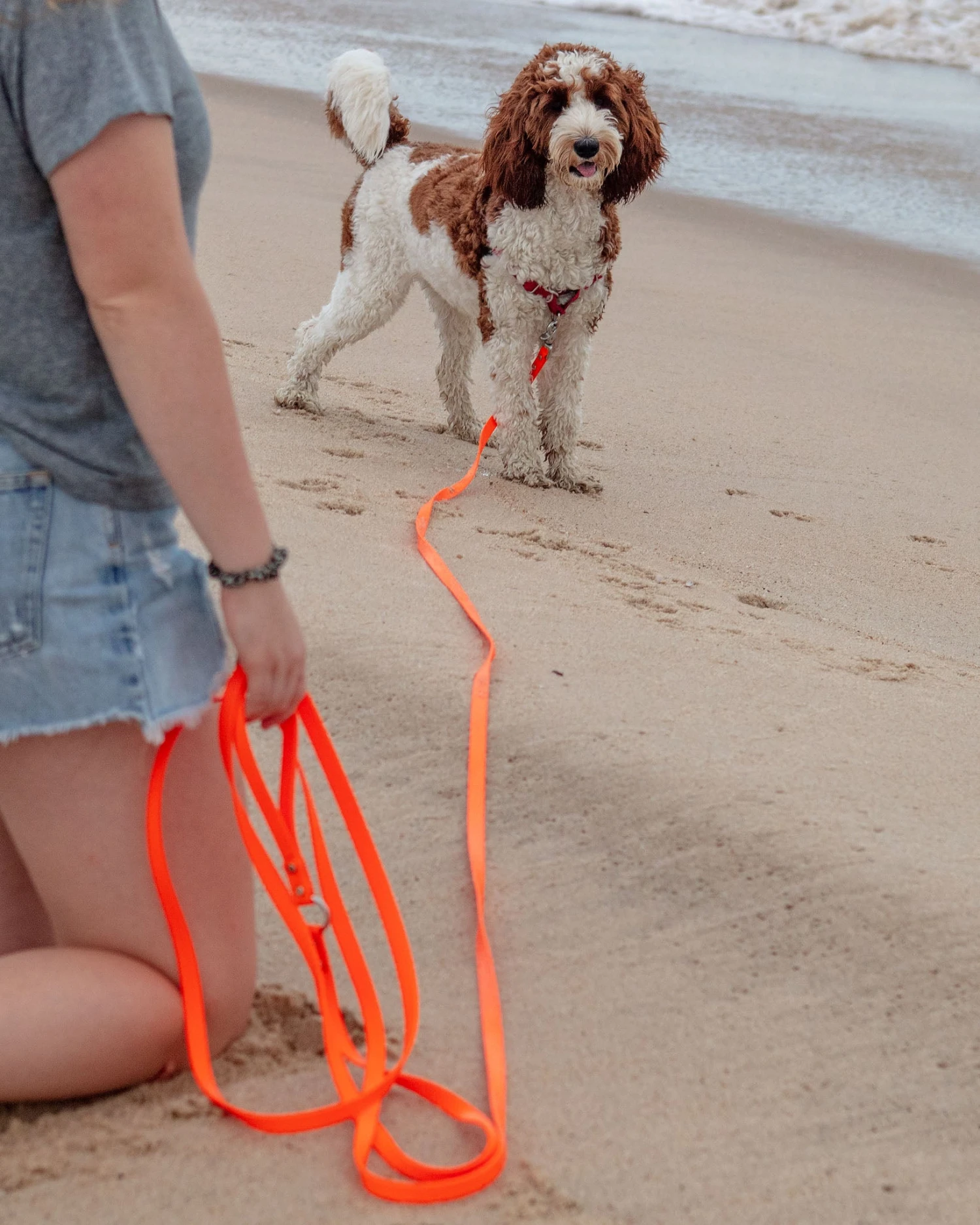 DOG & CO. COLLECTION Weekend Long Leash In Neon Orange (10 Or 20 Foot) (Made In The USA) - Image 5