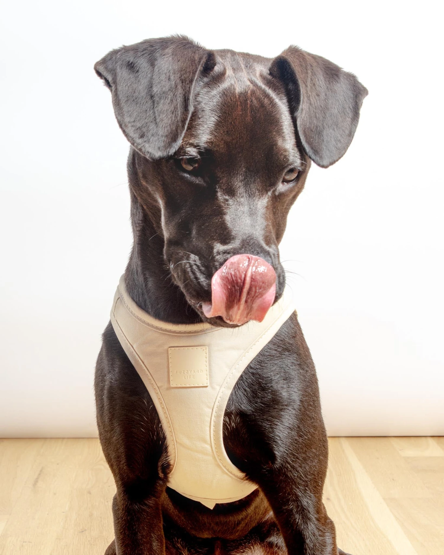 FUZZYARD Soft Fabric Step-In Dog Harness - Image 15