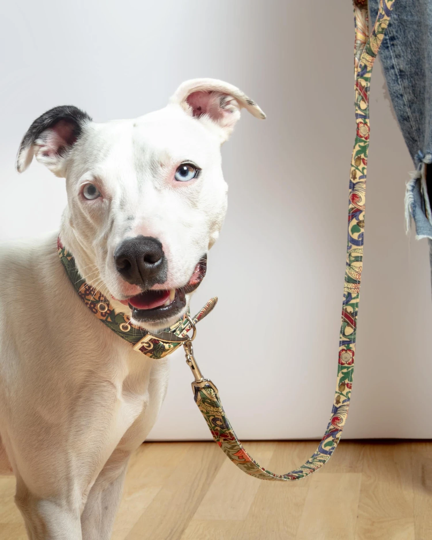 BLOSSOM CO. William Morris Golden Lily Dog Collar - Image 4