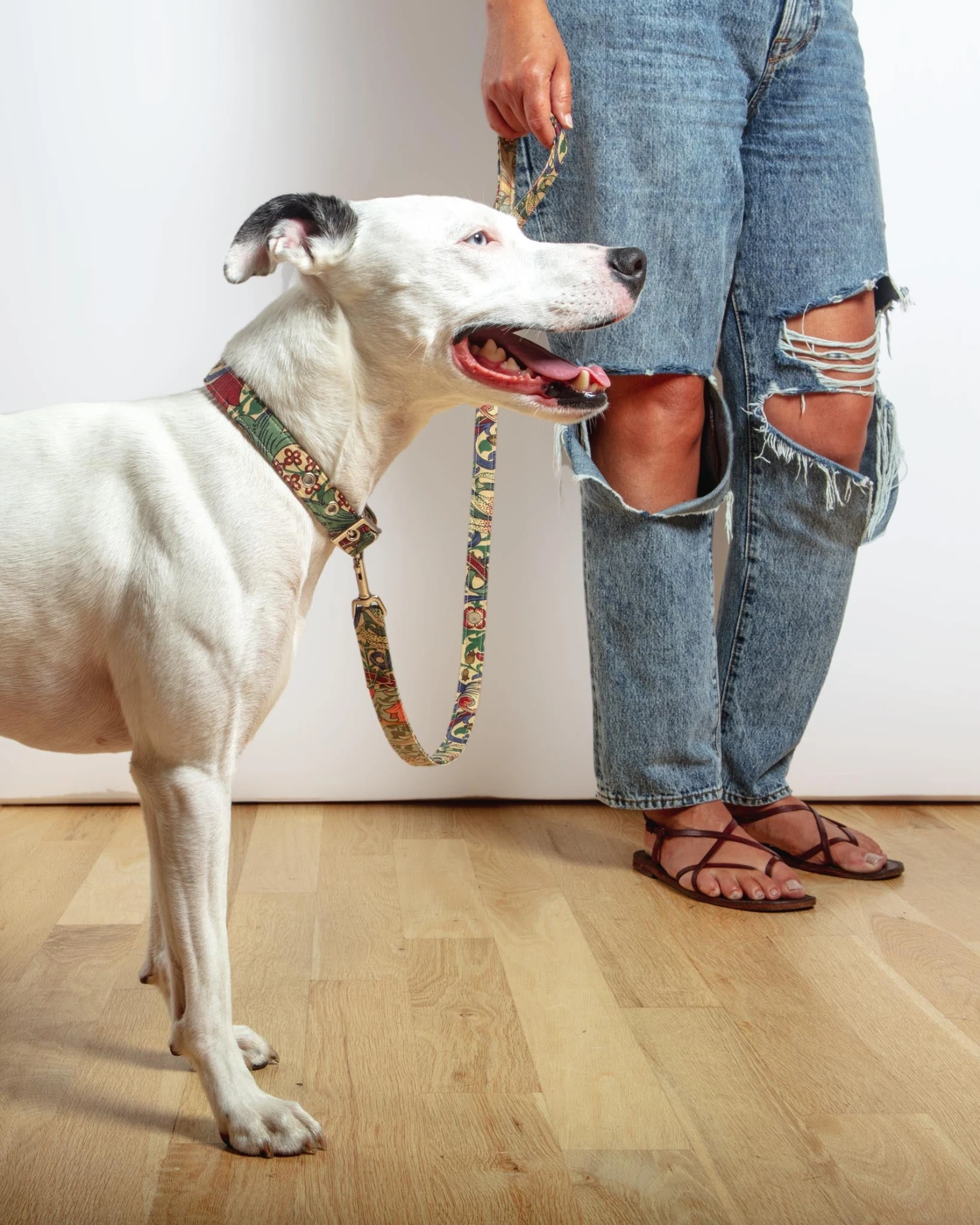 BLOSSOM CO. William Morris Golden Lily Dog Collar - Image 5