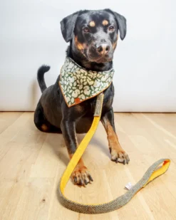 BLOSSOM CO. Eriskay Harris Tweed Dog Lead