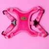 CHARLIE'S BACKYARD Comfort Dog Harness In Pink