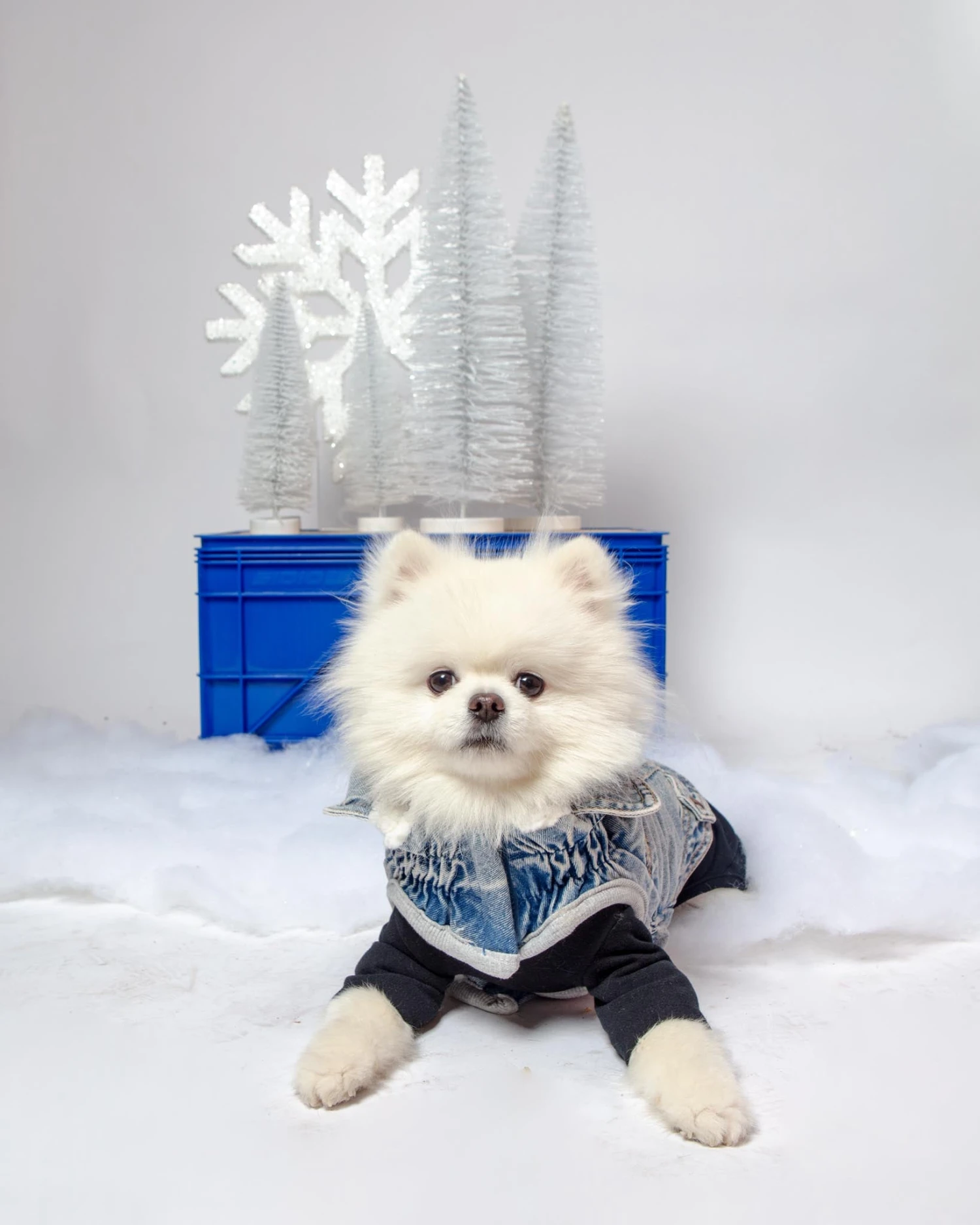 DENTISTS APPOINTMENT Body Warm Onesie In Black (Dog & Co. Exclusive) - Image 7