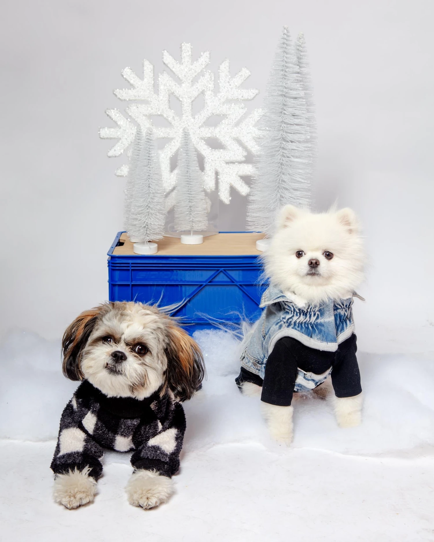 DENTISTS APPOINTMENT Body Warm Onesie In Black (Dog & Co. Exclusive) - Image 6